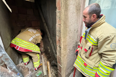 İtfaiye Mahsur Kalan Kediyi Kurtardı