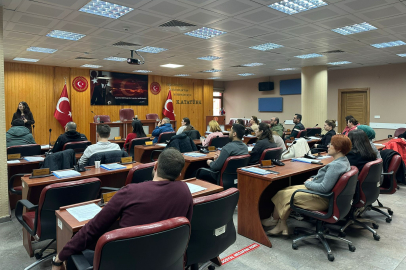 Saraçhane Köprüsü'nün Işıklandırılması İçin Proje Tanıtıldı