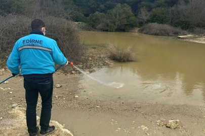 Enez’de Sivrisinek Larvalarına Karşı Mücadele