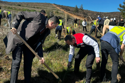 Tekirdağ’da Akfen Hatıra Ormanı İçin Fidan Dikim Etkinliği