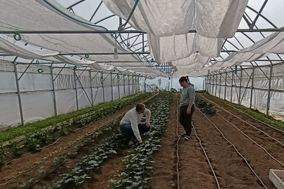 Edirne’de Seracılığı Geliştirme Projesi Kapsamında Saha Ziyaretleri Devam Ediyor