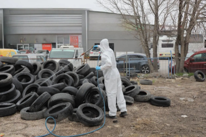 Edirne’de Vektörle Mücadele Çalışmaları Sürüyor