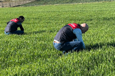 Babaeski’de Kanola ve Hububat Tarlalarında Kontrol