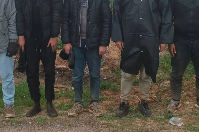 Edirne ve Kırklareli'nde 8 Düzensiz Göçmen Yakalandı