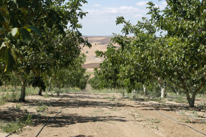 Kırklareli'nde Baraj ve Göllerde Su Ürünleri Av Yasağı