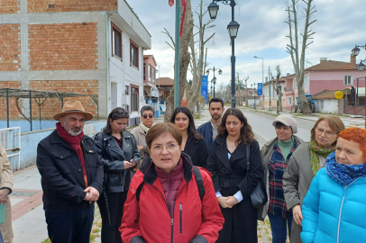 ‎EÇGD'den Ağaç Budamalarına Tepki