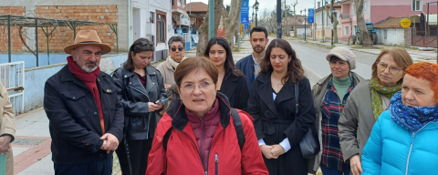 ‎EÇGD'den Ağaç Budamalarına Tepki