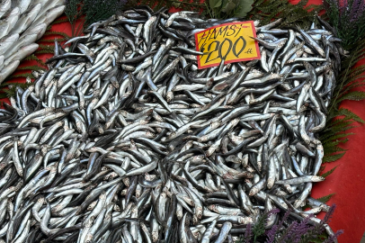 ‎Edirne’de İndirimli Hamsi Dönemi Bitti