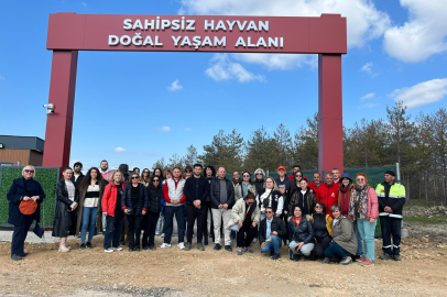 Edirne’de Sahipsiz Hayvan Alanı Ziyaret Edildi