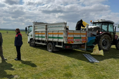 Lüleburgaz Köylerinde Mera Gübreleme Çalışması