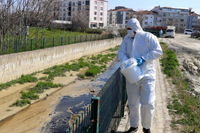Gelibolu'da Yaz Öncesi Kapsamlı "Vektörle Mücadele" Çalışması
