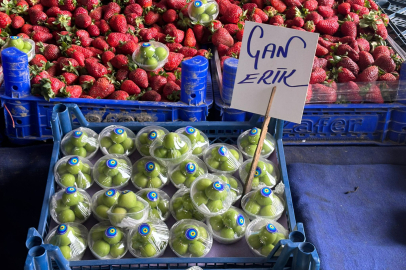 Edirne’de Erik Tezgahtaki Yerini Aldı