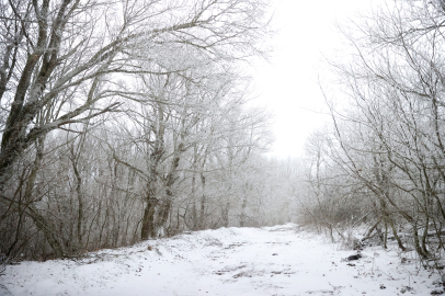 Tekirdağ ve Kırklareli'nin Yüksek Kesimlerinde Kar Etkili Oluyor