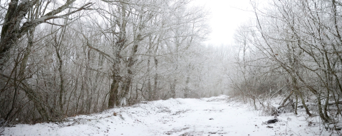Tekirdağ ve Kırklareli'nin Yüksek Kesimlerinde Kar Etkili Oluyor