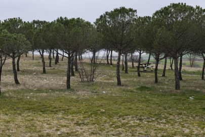 Havsa’daki Mesire ve Piknik Alanlarında Çöp Sorunu
