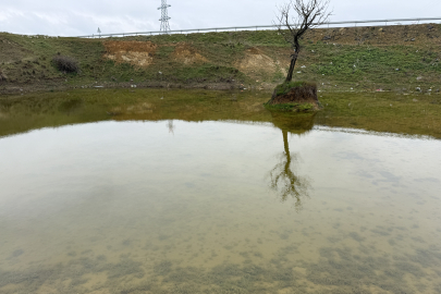 Tekirdağ'da Kuruyan Çakıl Gölet'i Yağışlarla Yeniden Doluyor