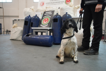 Gümrük Muhafazanın Narkotik Köpekleri Gizlenen Uyuşturucuları Buldu