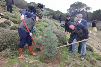 Gökçeada’da Fidanlar Toprakla Buluştu