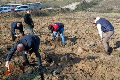 Babaeski’de Gazze Hatıra Ormanı İçin Fidan Dikimi Yapıldı