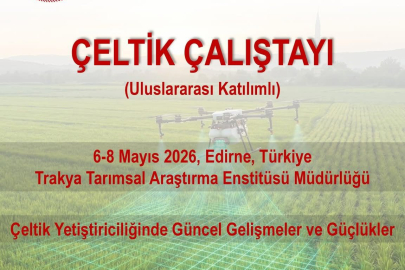 Edirne’de Çeltik Yetiştiriciliği Çalıştayı Düzenlenecek