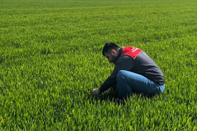 Vize’de Buğday Tarlalarında Hastalık ve Zararlı Kontrolleri Yapılıyor