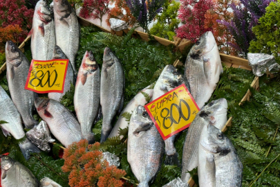 Edirne’de Balık Tezgahlarının Şampiyonu: Levrek ve Çupra