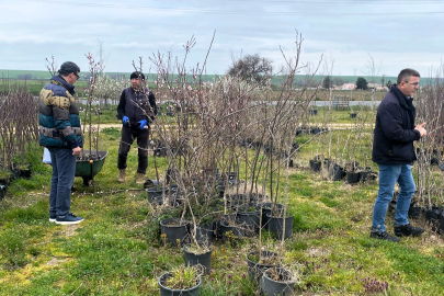 Kırklareli’de Fidan Satış Noktalarına Denetim
