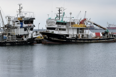 Tekirdağlı Balıkçılar Sezonu Erken Kapattı