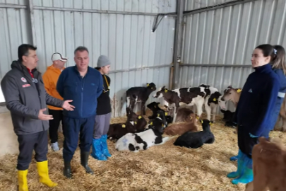 Büyükbaş Hayvan İşletmesine Teknik İnceleme