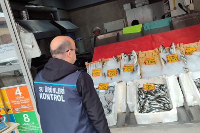Edirne’de Su Ürünleri Denetimleri Sürüyor