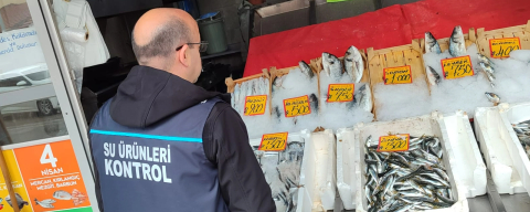 Edirne’de Su Ürünleri Denetimleri Sürüyor