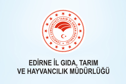 KORUYUCU GİYİM VE DONANIM MALZEMESİ SATIN ALINACAK