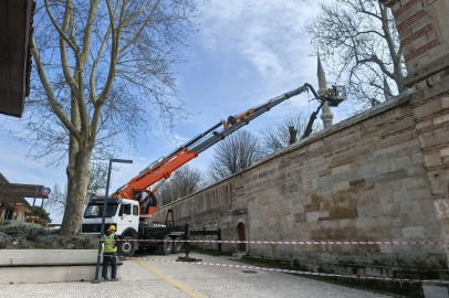Selimiye’nin Bahçesindeki O Ağaç Kesildi
