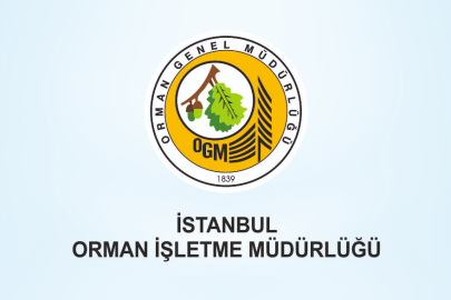 TOPRAK TESFİYE, SANAT YAPILARI VE ÜSTYAPI İŞLERİ YAPTIRILACAK