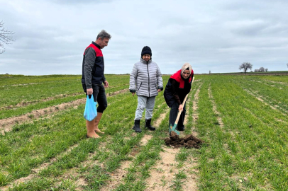 Babaeski’de Demonstrasyon Tarlası İçin Toprak Numunesi Alındı