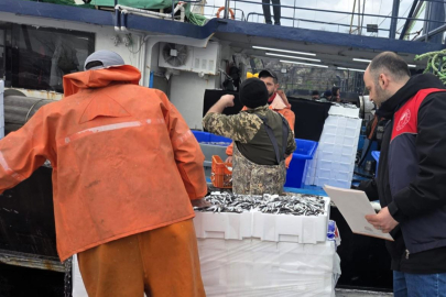 Kırklareli’nde Hamsi Avcılığına Yönelik Denetimler Sürüyor