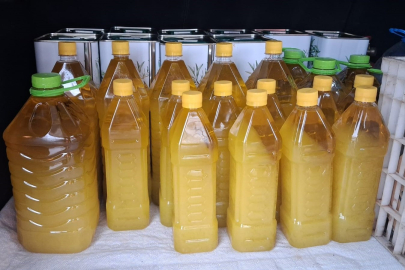 Şarköy Zeytinyağına Coğrafi İşaret