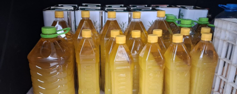 Şarköy Zeytinyağına Coğrafi İşaret