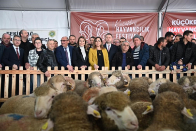 Tekirdağ'da Küçükbaş Hayvancılık Festivali