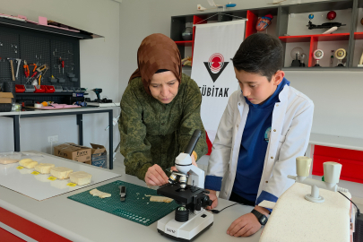 Pirinç Kabuklarından Yalıtım Malzemesi Üretti