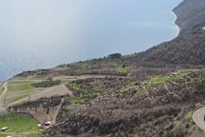 Tekirdağ’da Pelikanların Senkronize Uçuşu Görsel Şölen Sundu