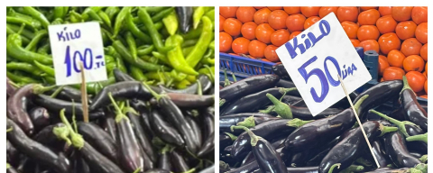 Edirne’de Patlıcan Fiyatı Yarıya Düştü