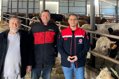 Pınarhisar’da Kurban Bayramı Öncesi Besi Çiftliği Denetimi