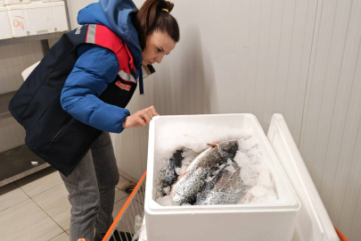 Tekirdağ’da Su Ürünleri Denetimleri Aralıksız Sürüyor