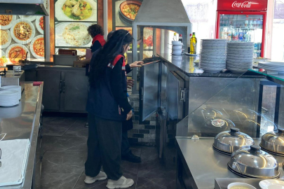 Sınır Kapıları Güzergâhındaki Gıda İşletmelerine Denetim