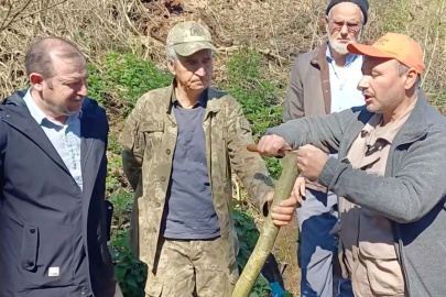 Çanakkale'de ‘Aşı Akademisi'
