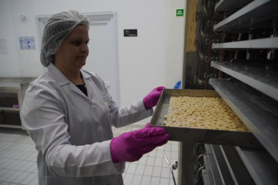 Dondurarak Kuruttukları Meyveleri İhraç Ediyorlar