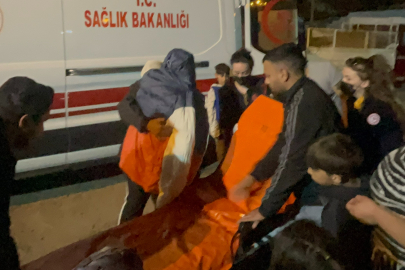 Bir Anda Parlayan At Sahibine Kabusu Yaşattı