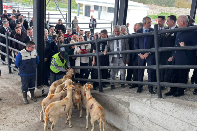 ‎Canlı Hayvan Pazarı Açılışındaki Koçlar Kızılay’a Bağışlandı