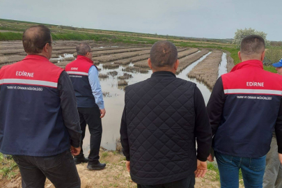 Havsa'da Çeltik Ekimi Öncesi Kontroller Sürüyor